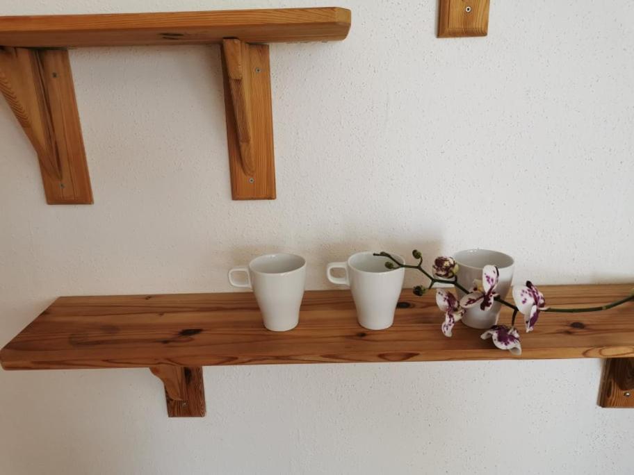 Apartma Lindau Lendava Exteriör bild